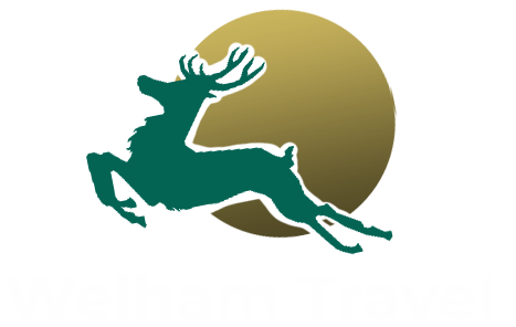 Welham Travel New Logo 3