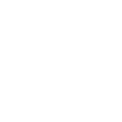 bus (2)