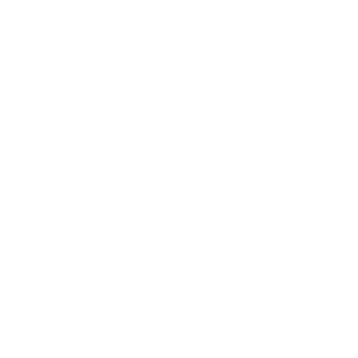 bus (2) bus (2)